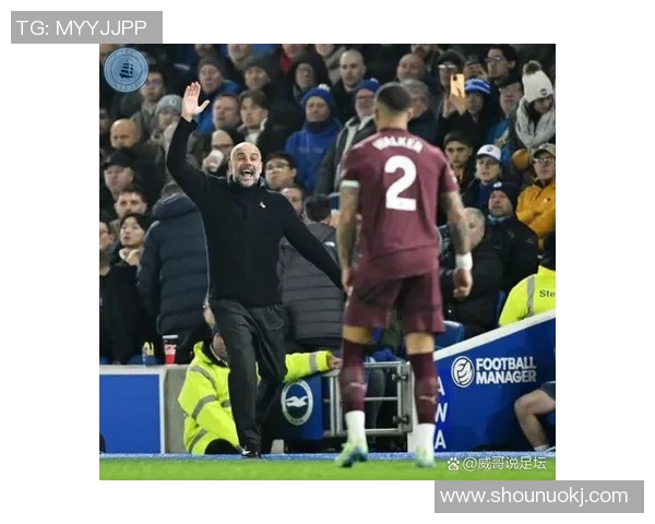 足球球星赛场冲突与经典打架瞬间全程回顾