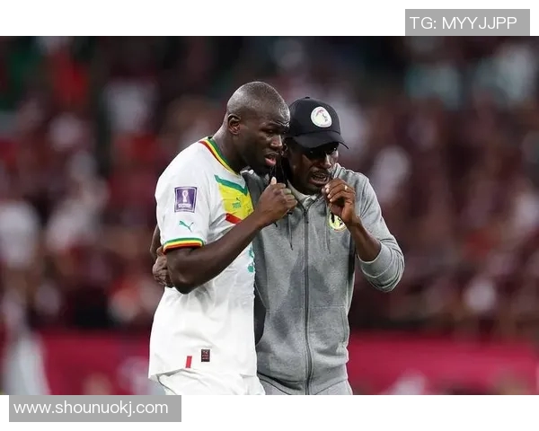 尼日尔足球球星崛起引领非洲绿茵场新时代风潮